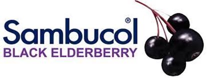 Picture for manufacturer Sambucol