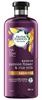Picture of P&G Herbal Essences Bio Renew Shampoo 400ml